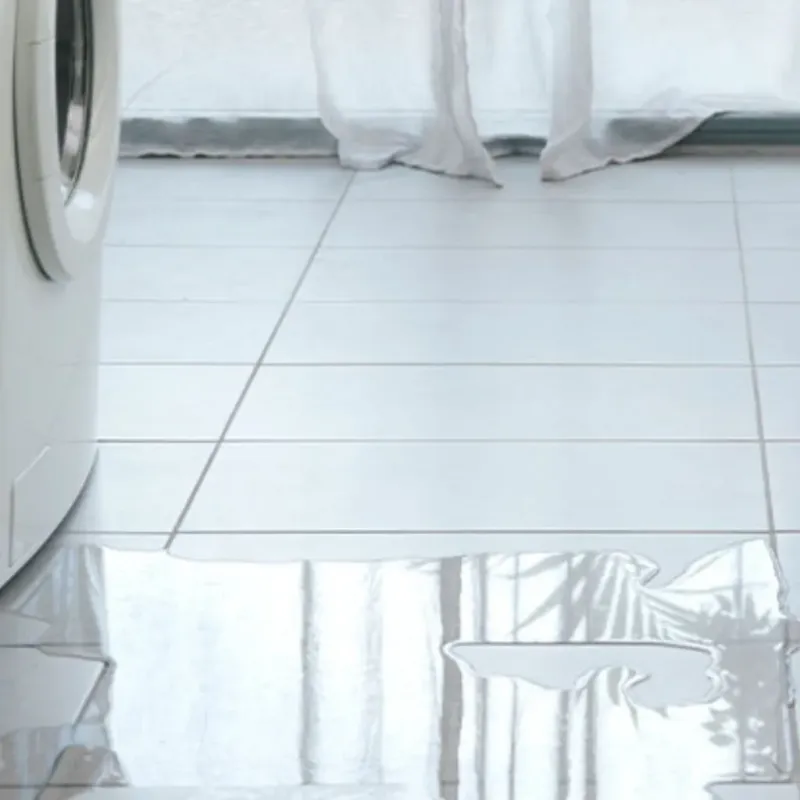 Appliance Leak Cleanup in Addison, WI