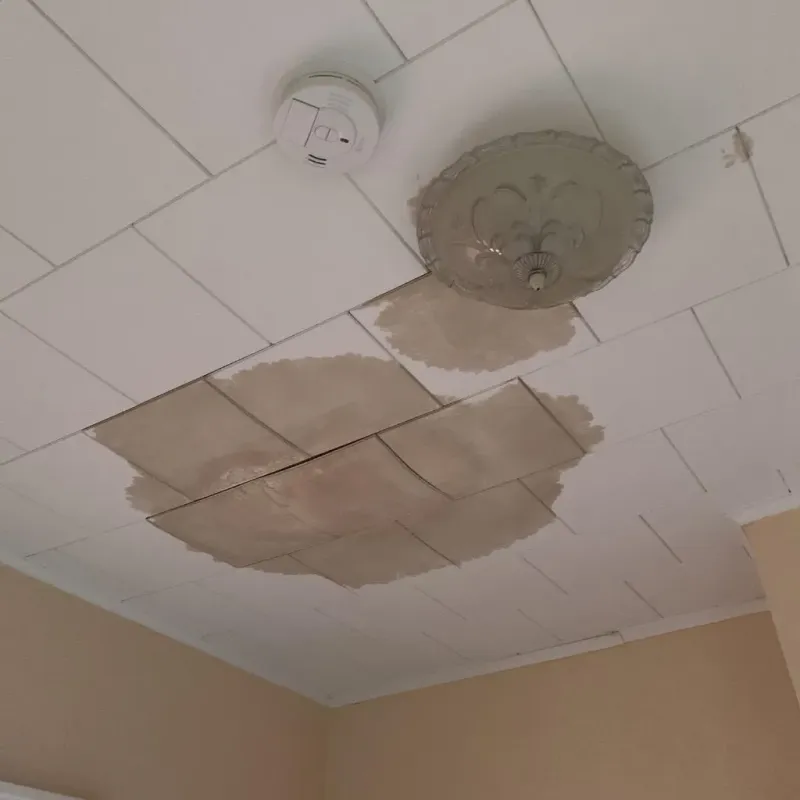 Ceiling Water Damage Repair in Addison, WI
